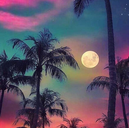 s t o r y ~ playlist